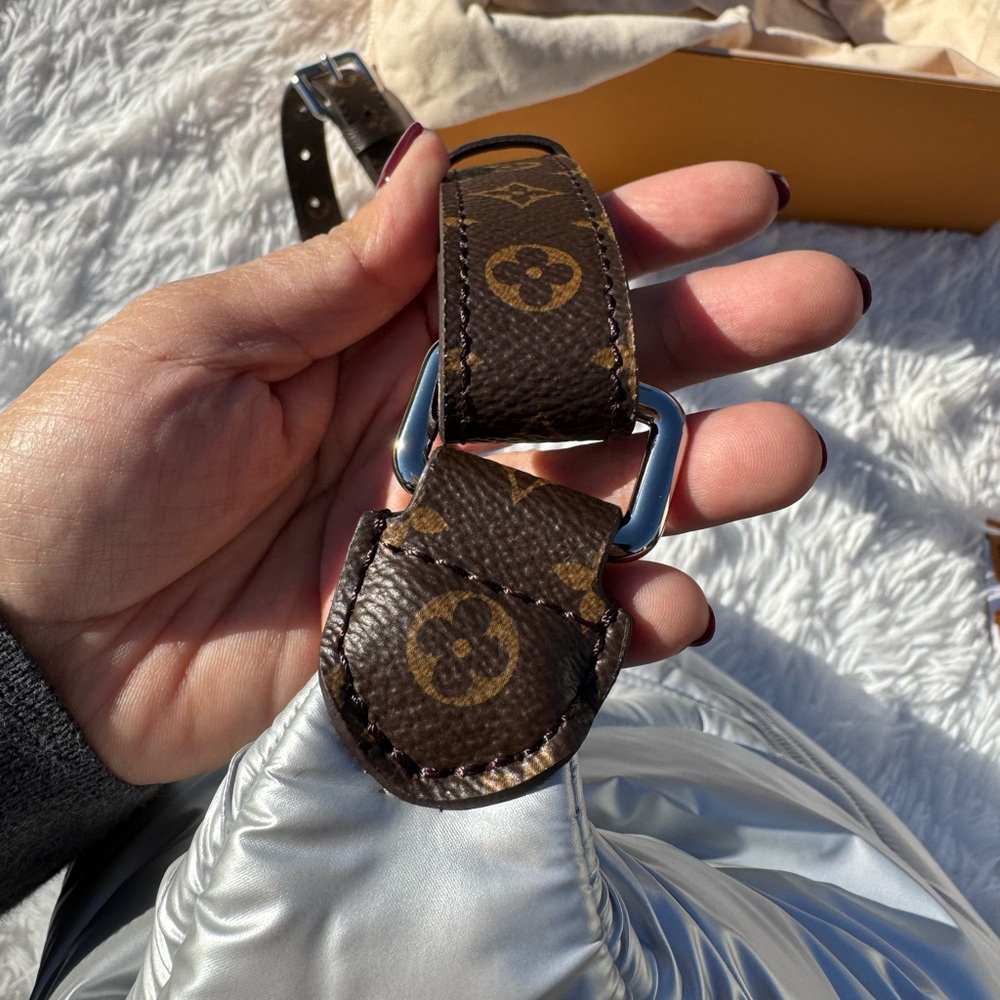 Louis Vuitton Bumbag Maxi Pillow - Picture 6 of 11
